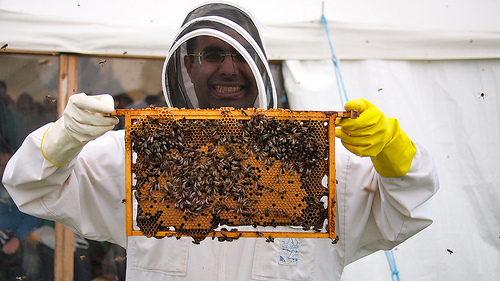Infosec Analogies from the Bee Hive – Beekeepers and CSOs – Part 2