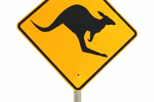 The Story of the Suicidal Kangaroo