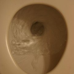 How do you Flush your Toilet?