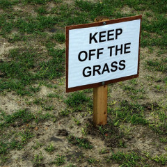 Don’t Walk on the Grass!